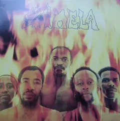Stimela – Fire, Passion, Ecstasy (Vinyl, LP)