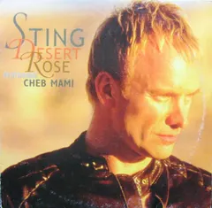 Sting Featuring Cheb Mami – Desert Rose (Vinyl, 12")