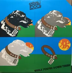 Stray Dog (3) – While You're Down There (Vinyl, LP)