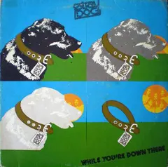 Stray Dog (3) – While You're Down There (Vinyl, LP)