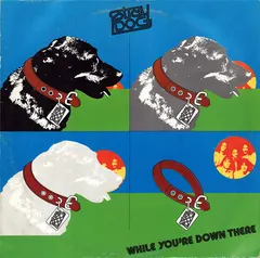 Stray Dog (3) Manticore – While You're Down There (Vinyl, LP)