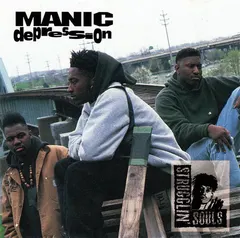 Strugglin' Souls – Manic Depression (CD, Album)
