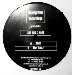 Sub, Erb + Kaos – 2001 / The Buzz (Vinyl, 12")