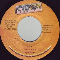 Sugar Black – Rise (Vinyl, 7")