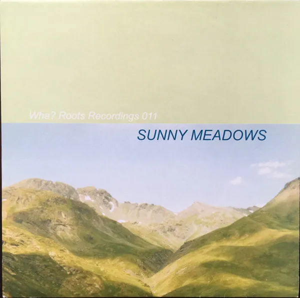 Sunny Meadows – Float Afronaut In Space