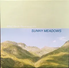 Sunny Meadows – Float Afronaut In Space (Vinyl, 12")