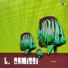 T-Comissi – Ke Tal! (Vinyl, 12")