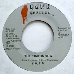 T.H.E.M. (2) – The Time Is Now (Vinyl, 7")