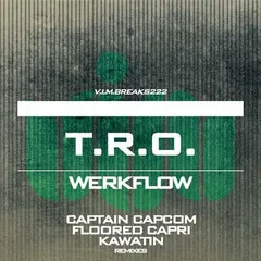 T.R.O. – Werkflow (File, MP3)