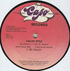 T. Ski Valley* – Valley Style (Vinyl, 12")