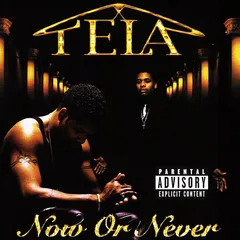 Tela – Now Or Never (CD, Album)