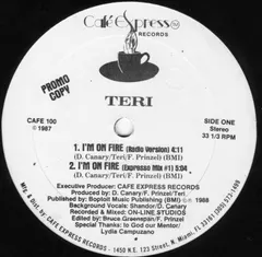 Teri – I'm On Fire (Vinyl, 12")