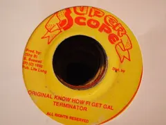 Terminator (11) – Original Know How Fi Get Gal (Vinyl, 7")