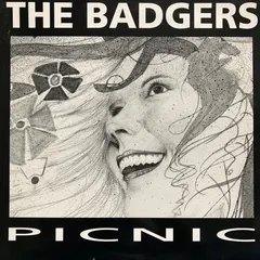 The Badgers – Picnic (Vinyl, 12")