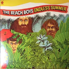 The Beach Boys – Endless Summer (Vinyl, LP)