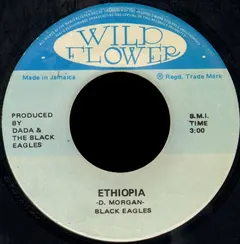 The Black Eagles – Ethiopia (Vinyl, 7")