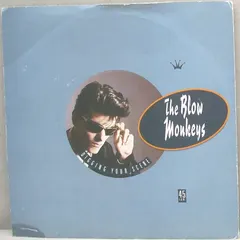 The Blow Monkeys – Digging Your Scene (Vinyl, 7")