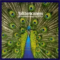 The Bluetones – Expecting To Fly (CD, Album)