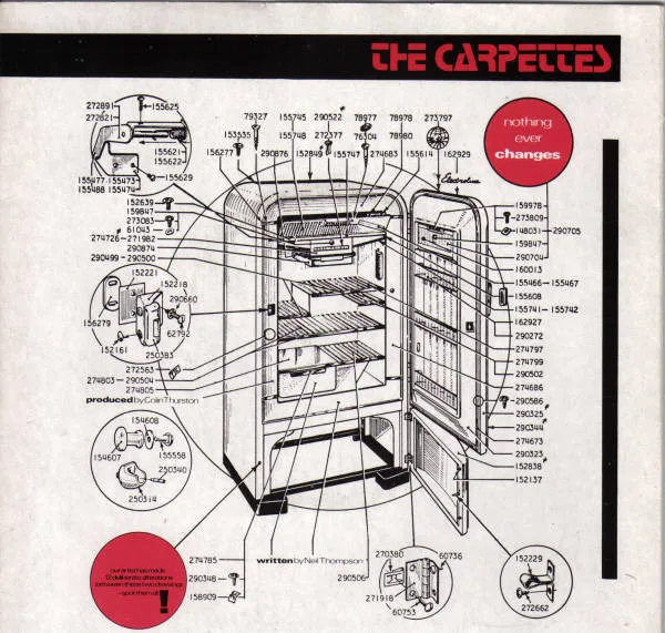The Carpettes – Nothing Ever Changes