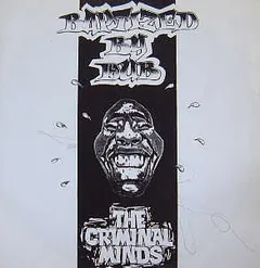 The Criminal Minds – Baptized By Dub (Vinyl, 12")