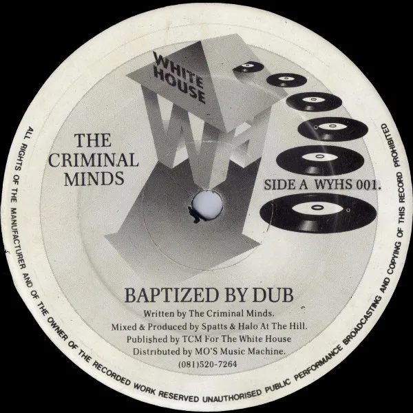 The Criminal Minds – Baptized By Dub / Virtual Reality