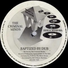 The Criminal Minds – Baptized By Dub / Virtual Reality (Vinyl, 12")