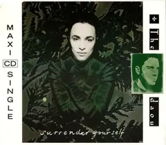 The Daou – Surrender Yourself (CD, Maxi-Single)