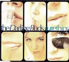 The Darling Buds – Sure Thing (CD, Single)