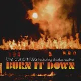 The Dynamites (3) Featuring Charles Walker (3) – Burn It Down (Vinyl, LP)