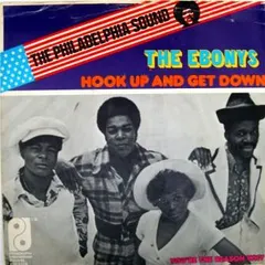 The Ebonys – Hook Up And Get Down (Vinyl, 7")