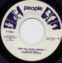 The Everyday People (2) – Are You Going Wrong? (Vinyl, 7")
