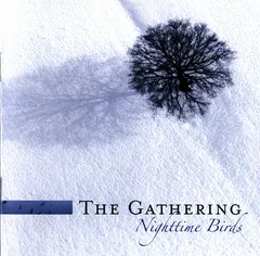 The Gathering – Nighttime Birds (CD, Album)