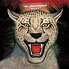 The Greenhornes – "★★★★" (Vinyl, LP)