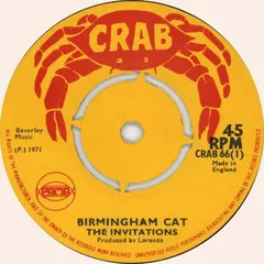 The Invitations (2) – Birmingham Cat (Vinyl, 7")