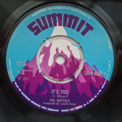 The Maytals – It's You (Vinyl, 7")