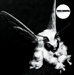 The Moth (4) – They Fall (Vinyl, LP)