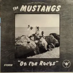 The Mustangs* – On Tha Rocks (Vinyl, LP)