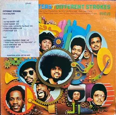 The Nite-Liters – Different Strokes (Vinyl, LP)