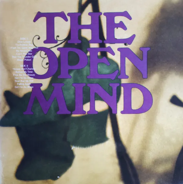 The Open Mind – The Open Mind