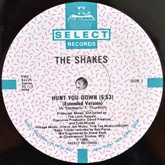 The Shakes – Hunt You Down (Vinyl, 12")