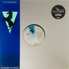 The Source Experience – Zyklus (Vinyl, 12")