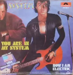 The System – You Are In My System (Vinyl, 7")