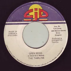 The Tamlins – Open Mind (Vinyl, 7")