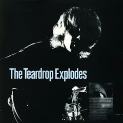 The Teardrop Explodes – You Disappear From View (Vinyl, 12")