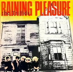 The Triffids – Raining Pleasure (Vinyl, 12")