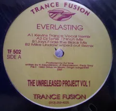 The Unreleased Project* – Vol 1 - Everlasting (Vinyl, 12")