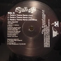 The X-ecutioners – Raida's Theme (Remix) (Vinyl, 12")