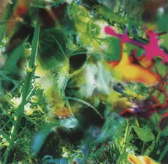 The Young Gods – Second Nature (CD, Album)