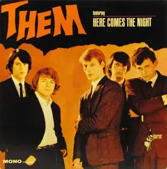 Them (3) – Here Comes The Night (Vinyl, LP)