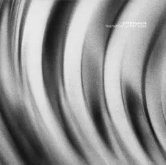 Theweddingpresent* – Saturnalia (CD, Album)
